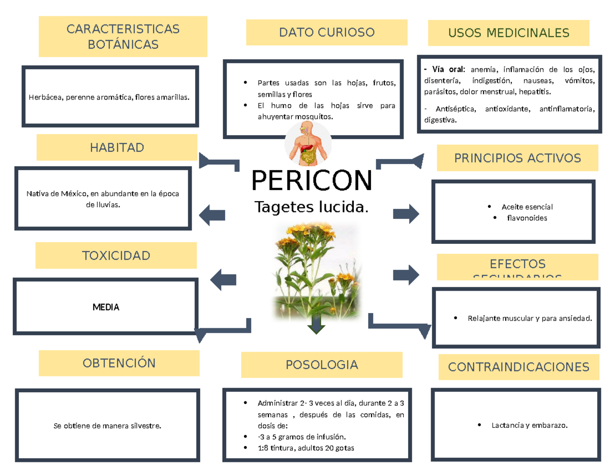 Pericon (Medicina Tradicional): Usos, Efectos y Características - Studocu