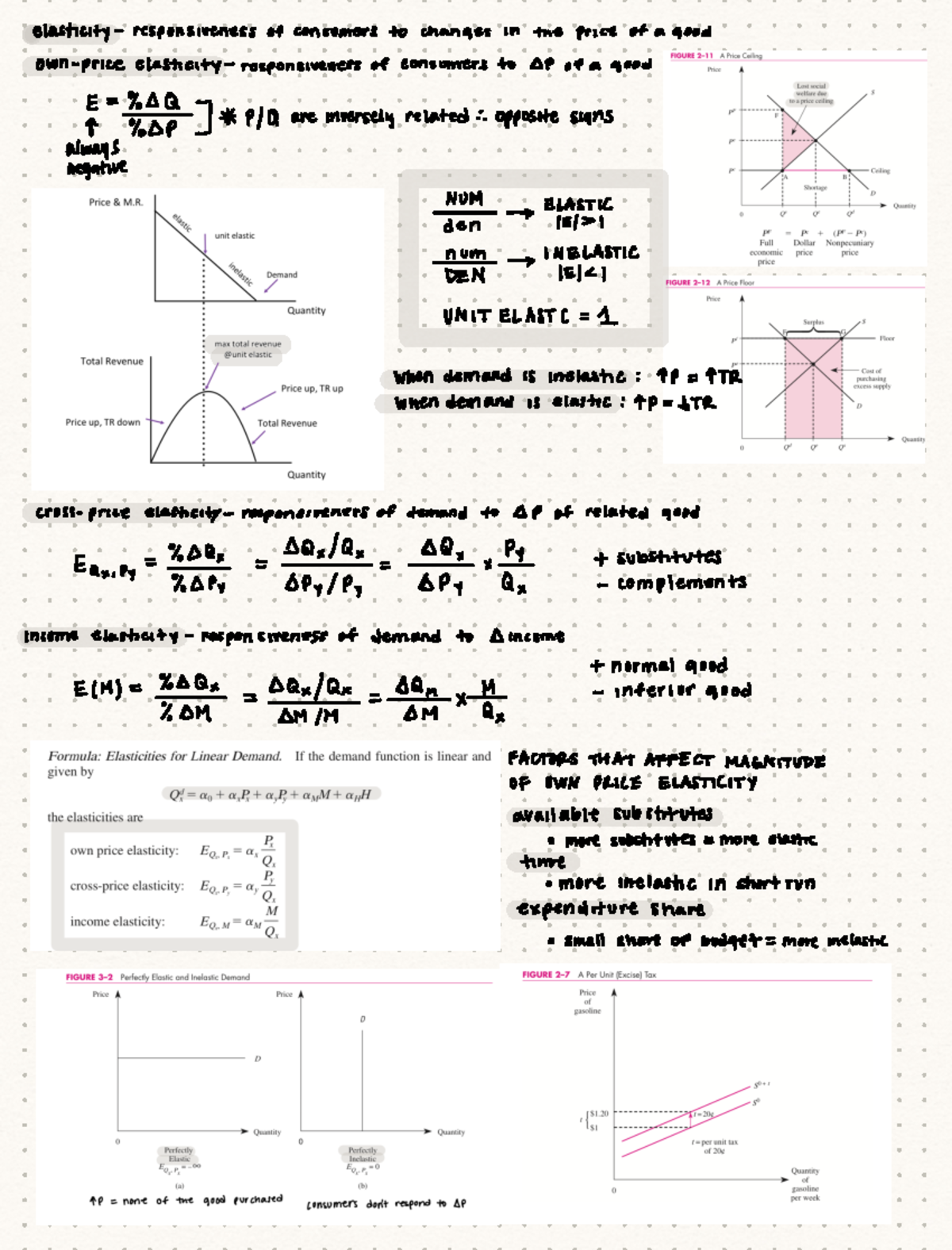BECO 3310 Exam 2 Study Notes on Price Elasticity and Demand - Studocu