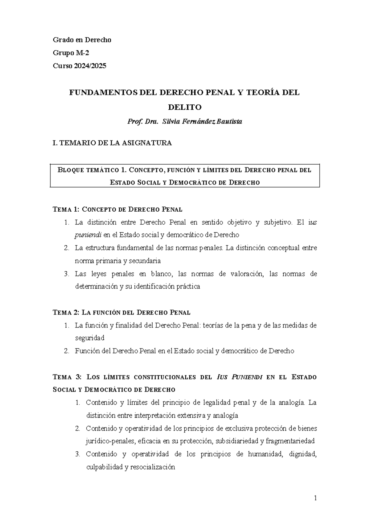 Programa de FUNDAMENTOS DEL DERECHO PENAL Y TEORÍA DEL DELITO 2025 ...