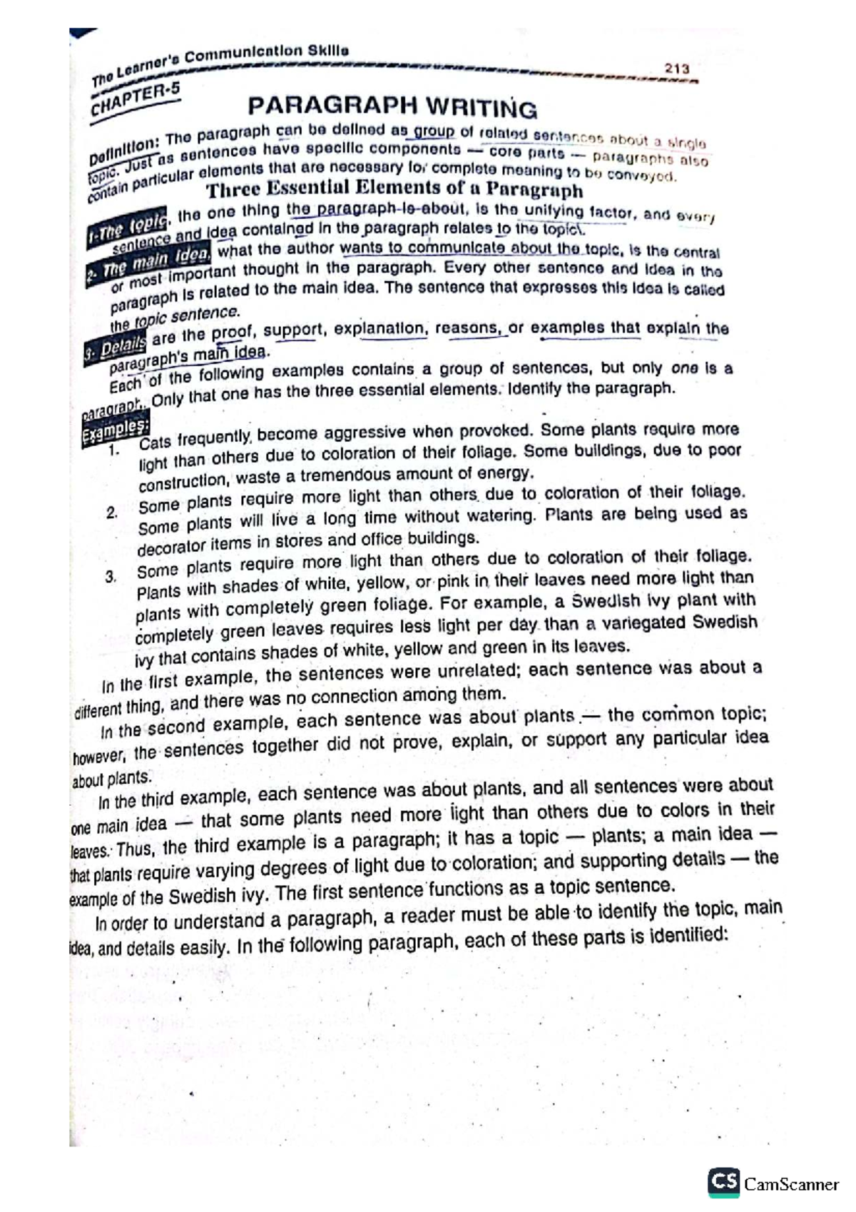 CS 213 Final Exam: Detailed Guide to Paragraph Writing - Studocu