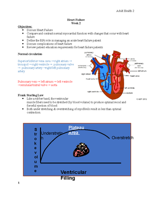 Adult Health 2: Basic EKG & Cardiovascular Disorders Overview - Basic ...