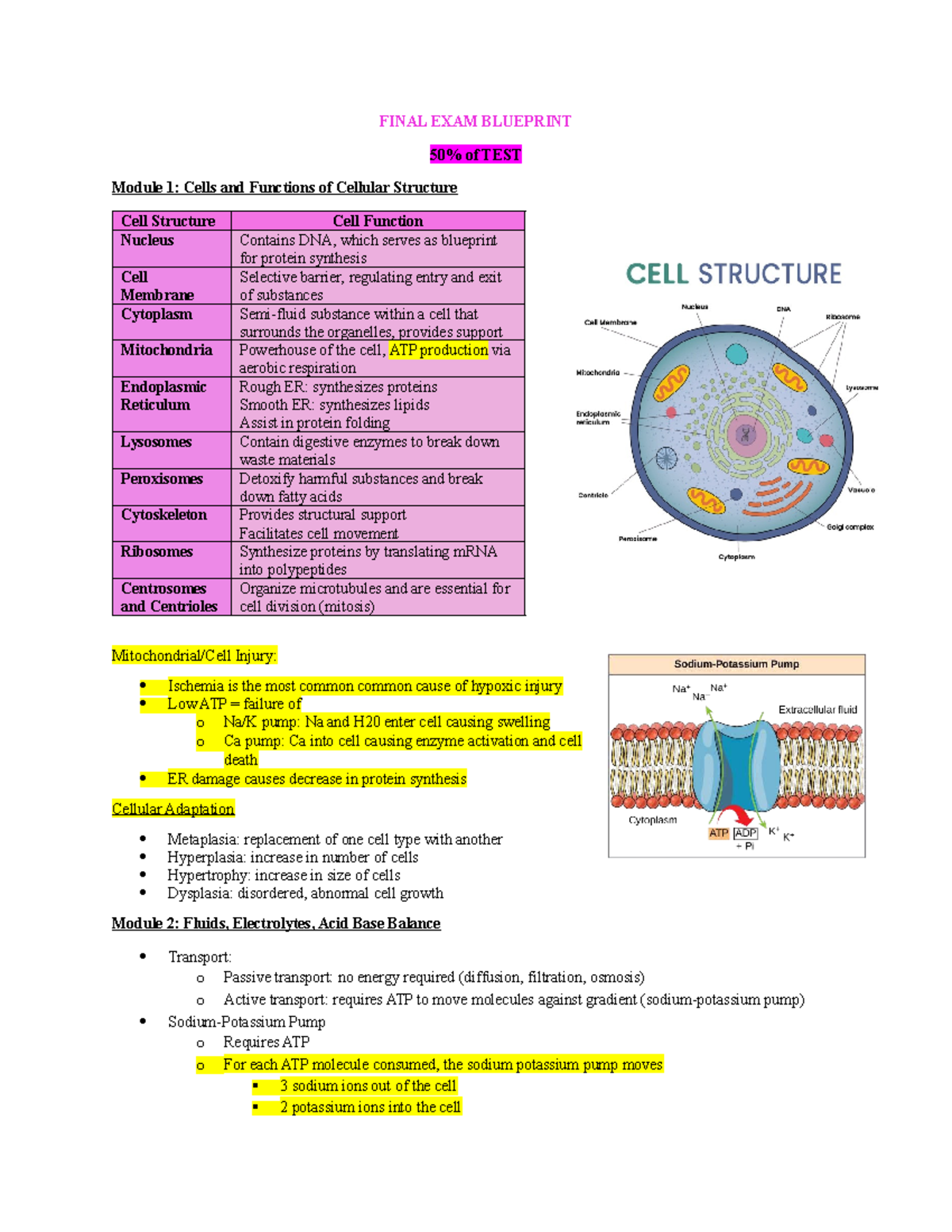 FINAL EXAM BLUEPRINT: Cellular Structure, Function & Inheritance ...