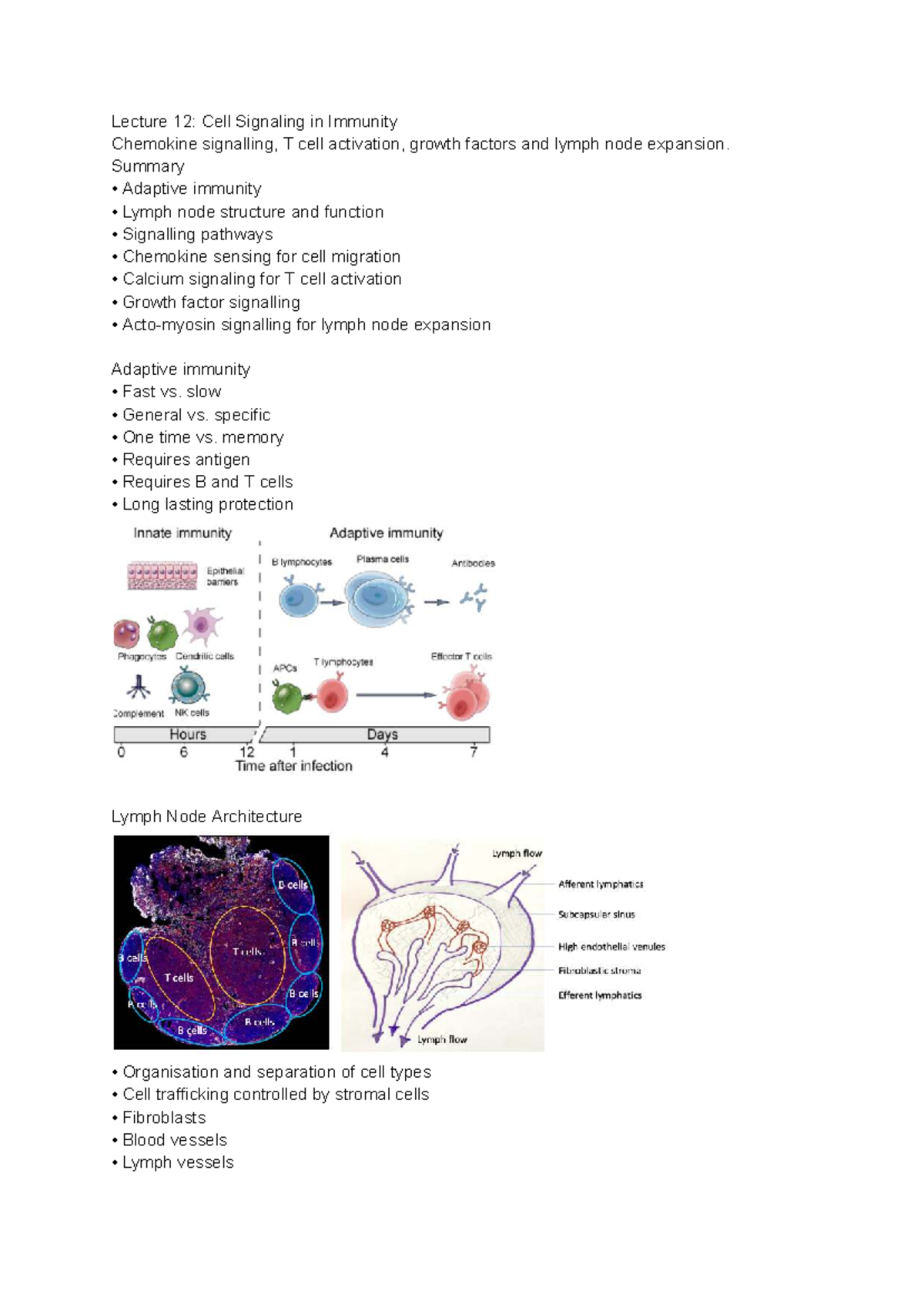 CELL0010 Lecture 12: Cell Signaling in Immunity and Lymph Node Function ...
