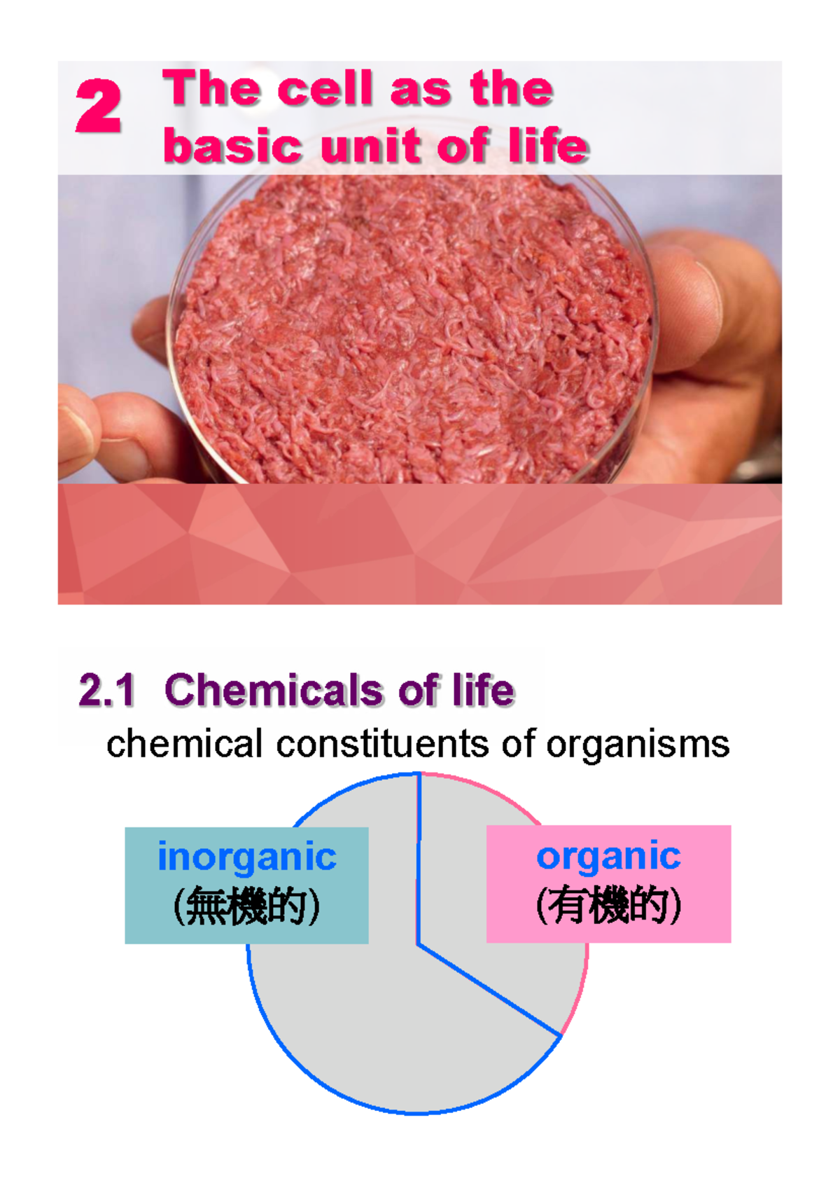 Ch.2 The Cell as the Basic Unit of Life: Chemicals and Structures - Studocu