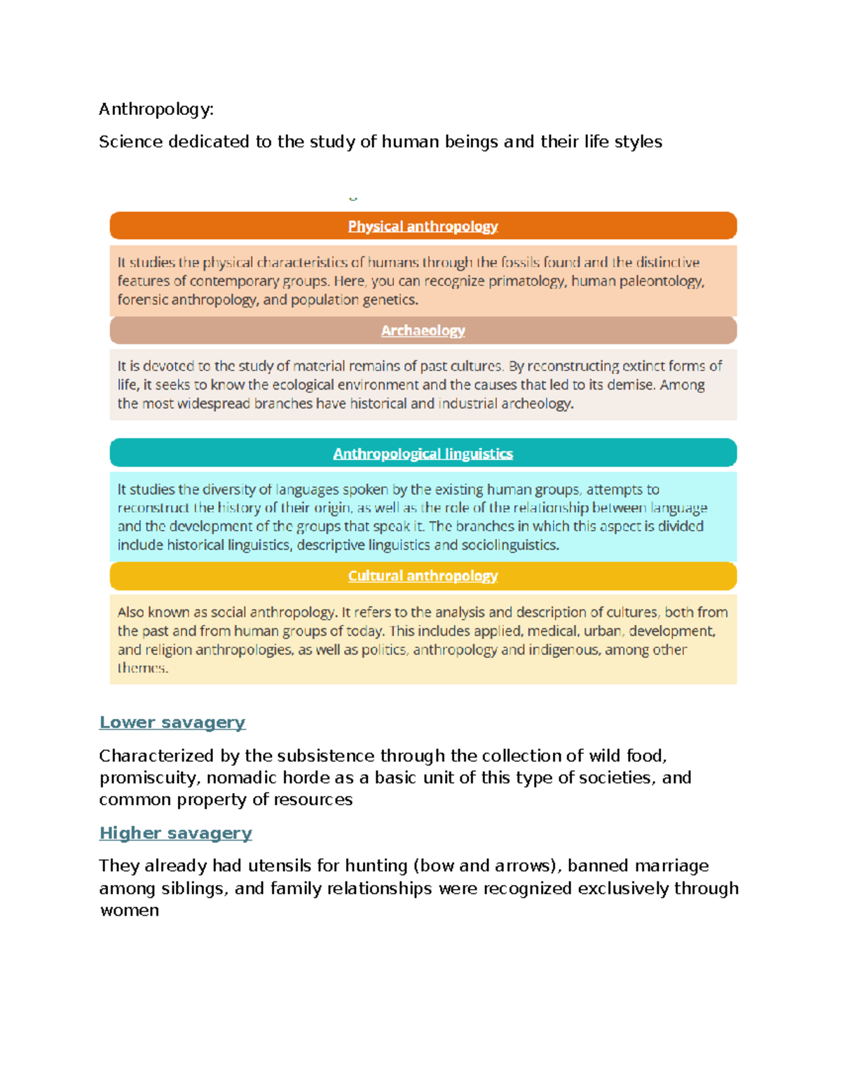 Anthropology Study Guide: Stages of Human Development & Society - Studocu