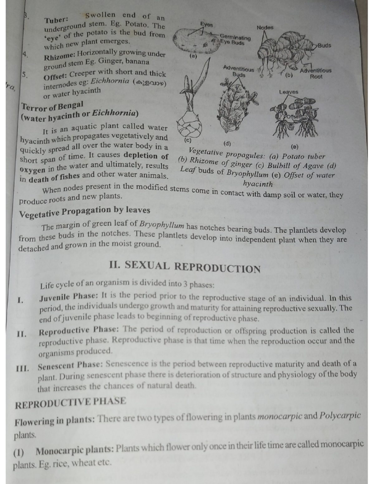Class 12 Chapter 1 Study Notes: Reproduction in Organisms Part 3 - Studocu