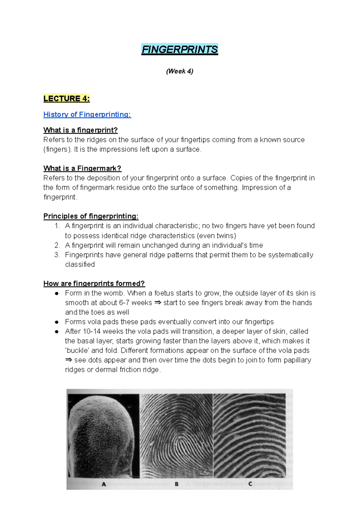 Lecture 4 (W4) Fingerprints - FINGERPRINTS (Week 4) LECTURE 4: History ...