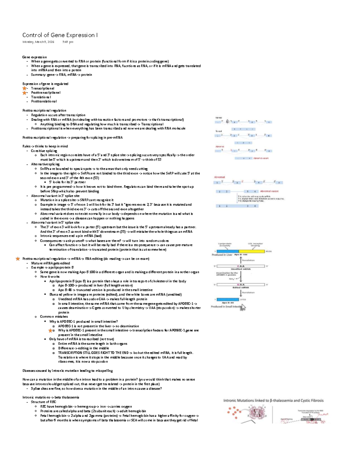 Control of Gene Expression I - Cycle 8 Lesson 1 Notes - Studocu