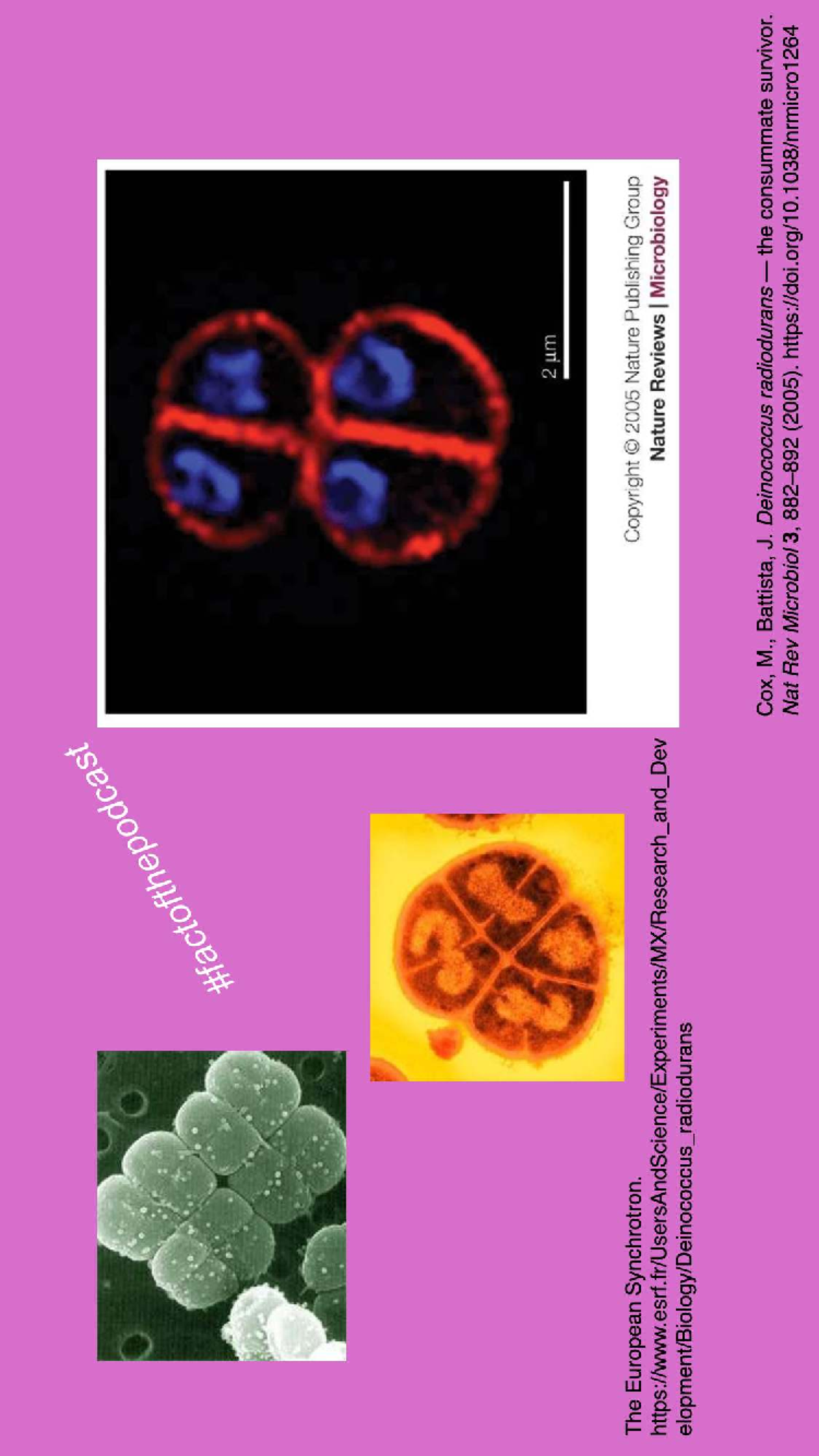 DNA Repair and Recombination: Detailed Annotations for GCVLS ...