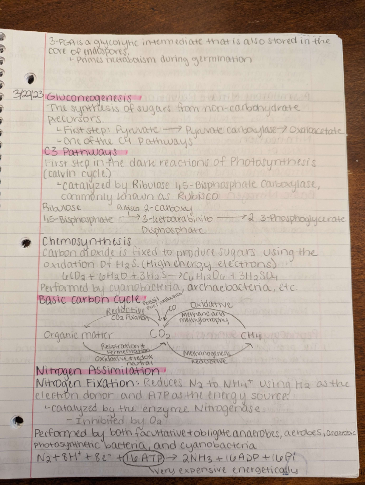 37 1 Microbiology Notes - BIOL 317 - Studocu