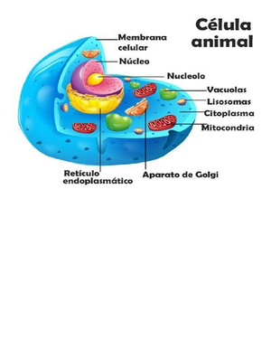 Solved Resumen Del Captulo 13 Lidiar Con La Muerte Y Las Prdidas Del Ciencias Naturales