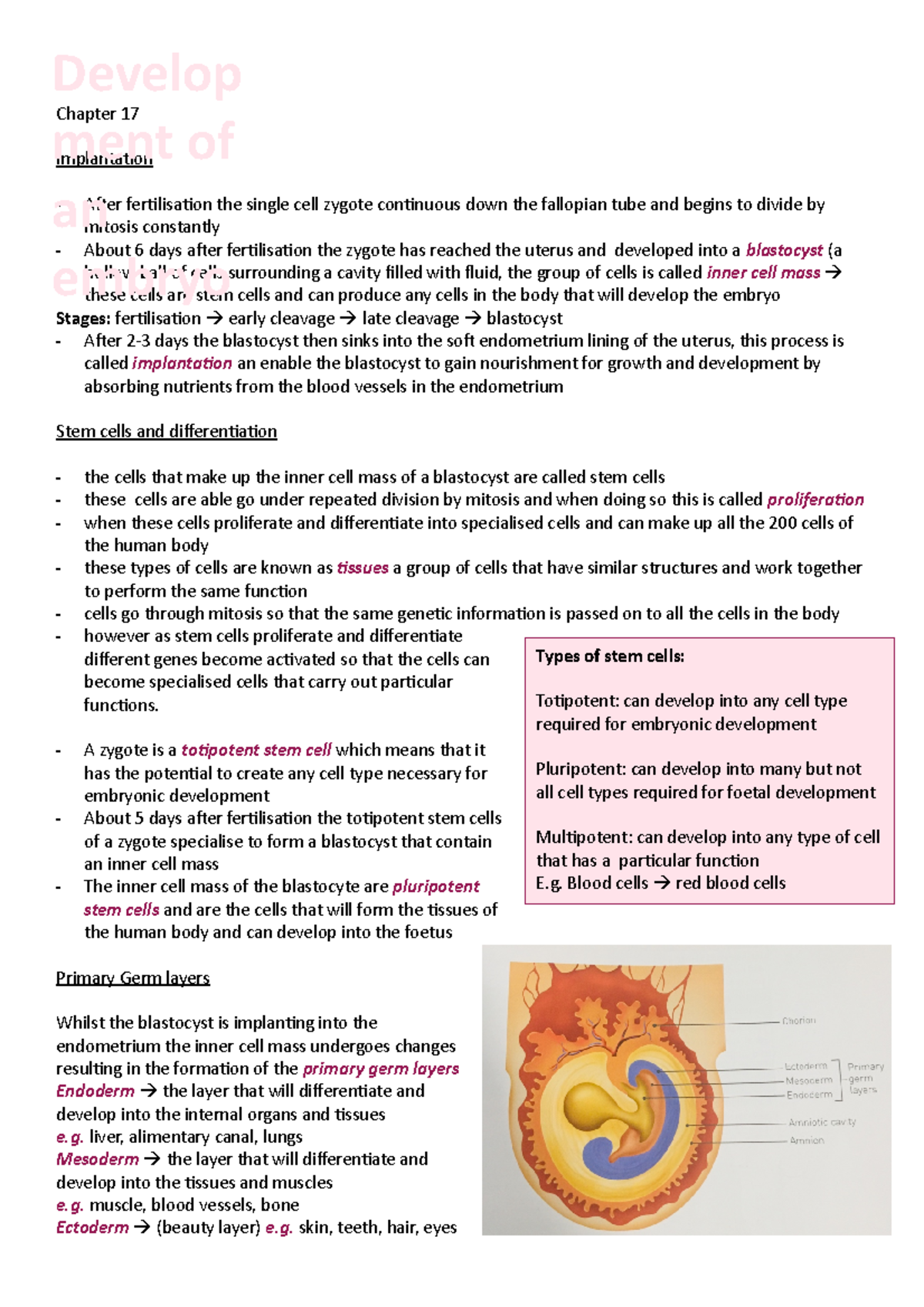Embryo Development and Implantation Process - Chapter 17 Insights - Studocu