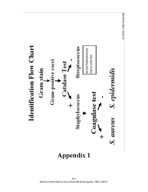 Appendix 2 Micro - Lab flow charts - GRAM NEGATIVE ROD FLOWCHART Gram ...