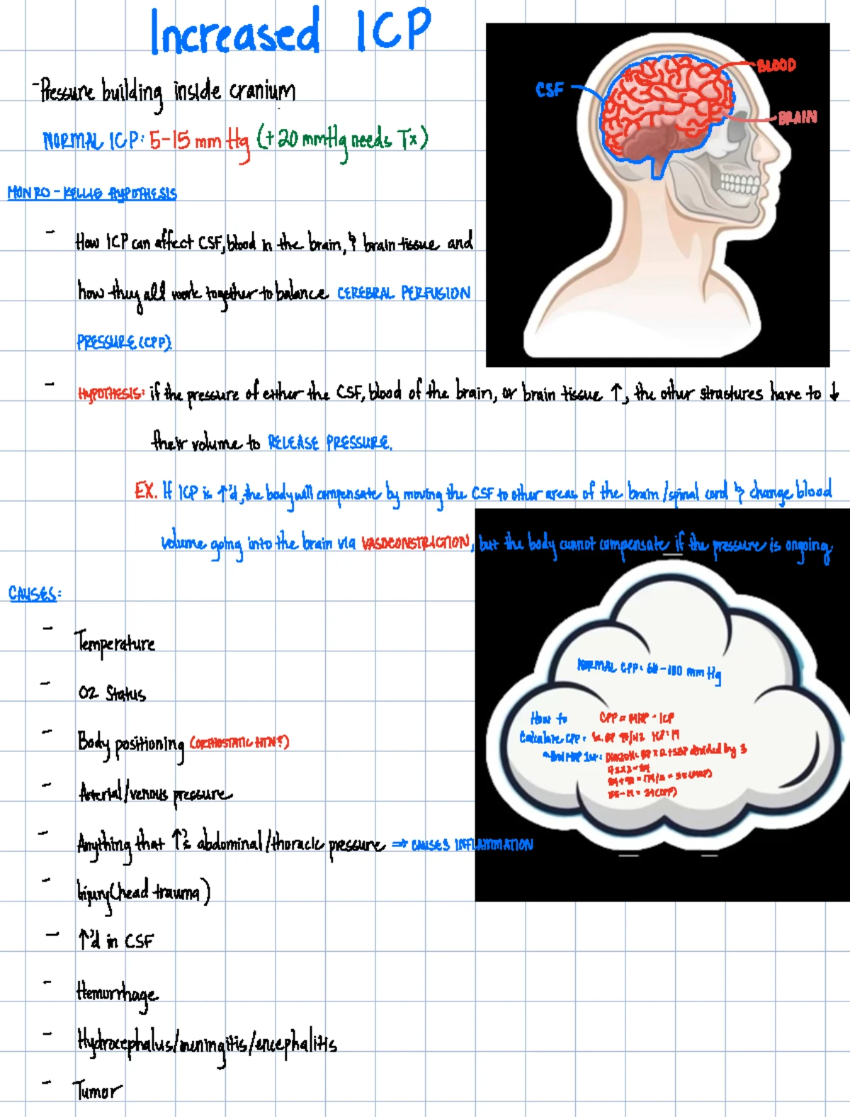 Flow Sheet - 05: Comprehensive Patient Assessment Notes - Studocu