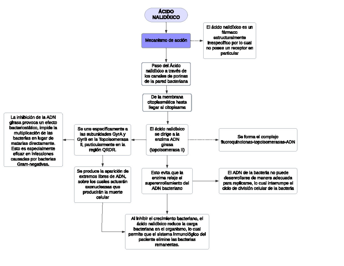 Mecanismo De Accion Del Acido Nalidixico