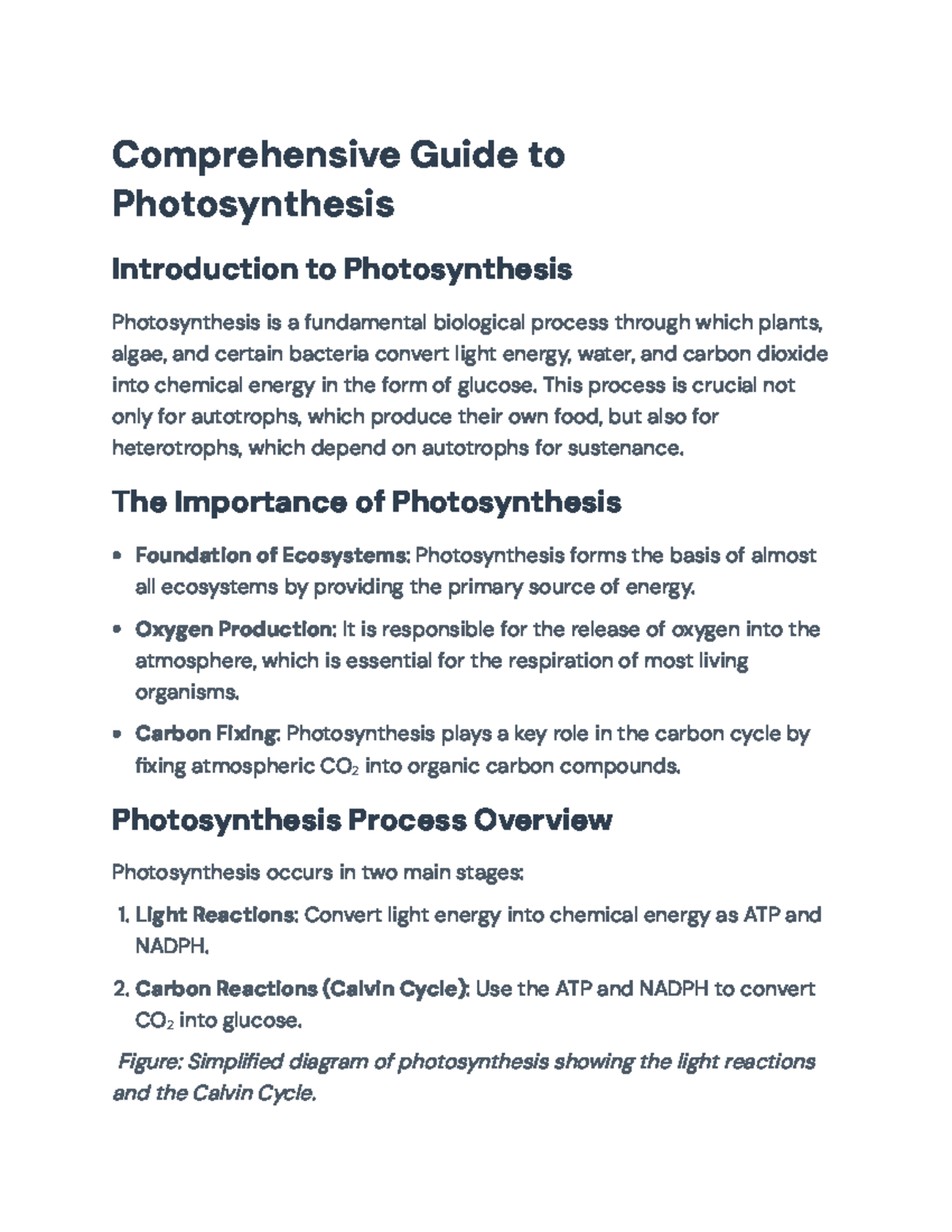 Comprehensive Guide to Photosynthesis: Mechanisms & Variations ...