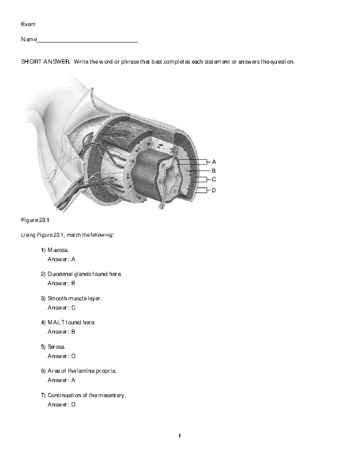 Chapter 23 Exam: Short Answers and Matching Questions - Studocu