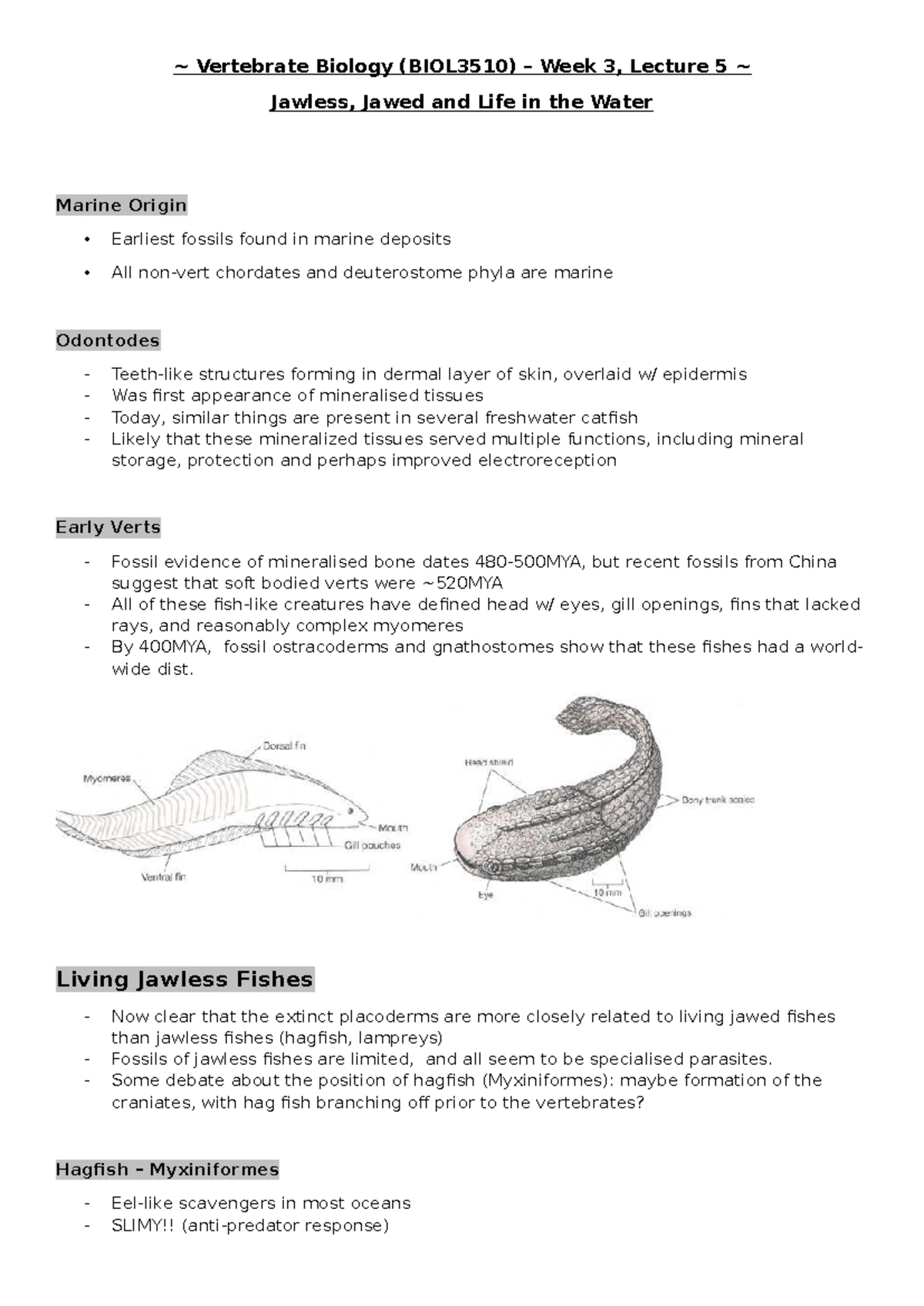 Vertebrate Biology (BIOL3510) Lecture 9: Transition to Land II ...