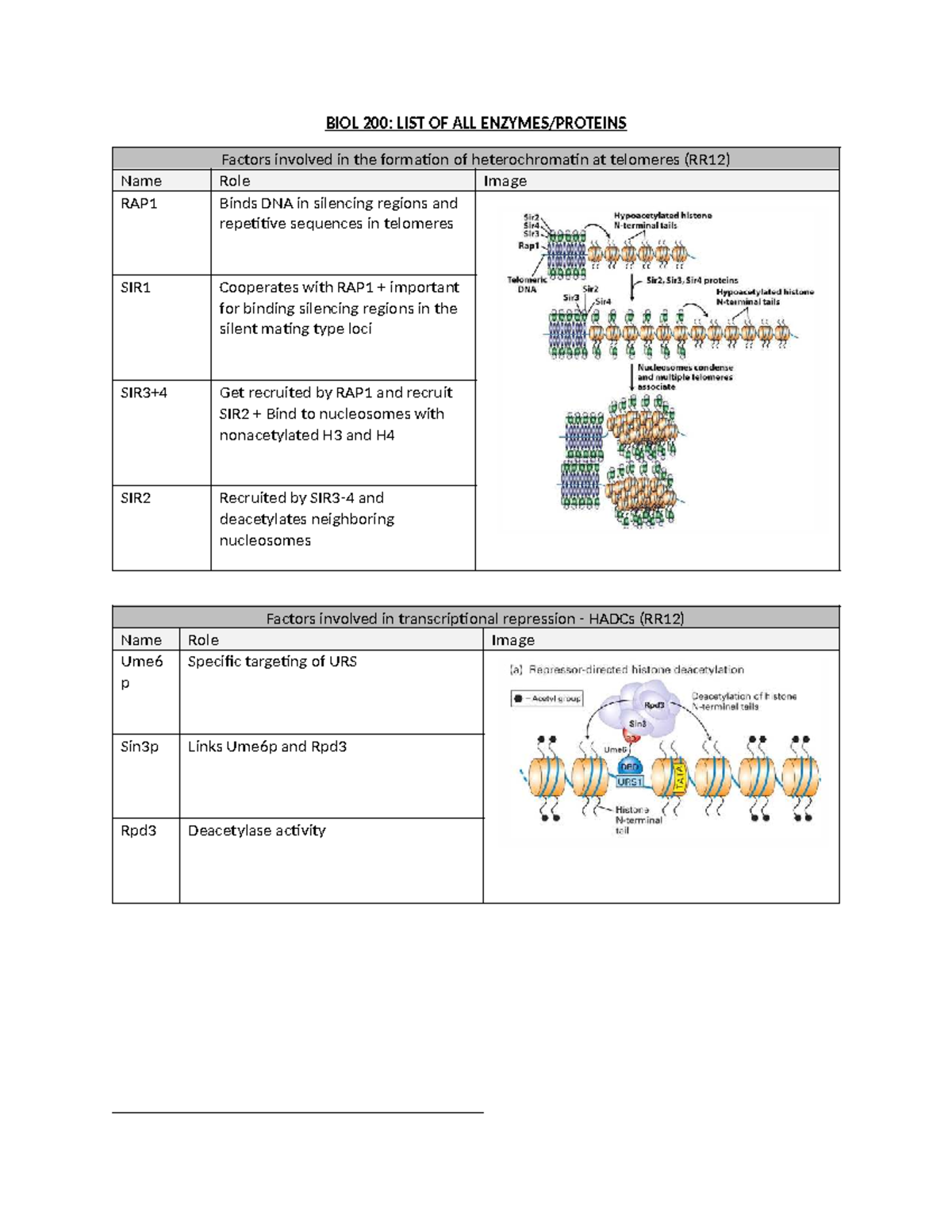 BIOL 200 enzymes summary (most of them) - BIOL 200: LIST OF ALL ENZYMES ...