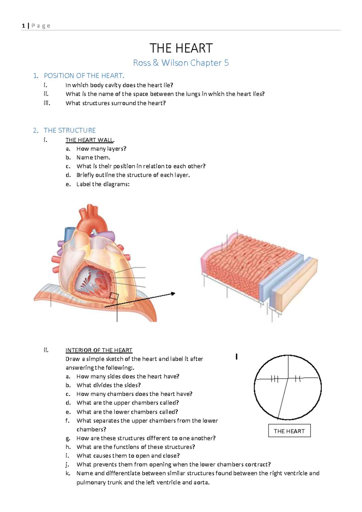 THE Heart - Worksheet - Guide TO Summarising - THE HEART Ross & Wilson ...