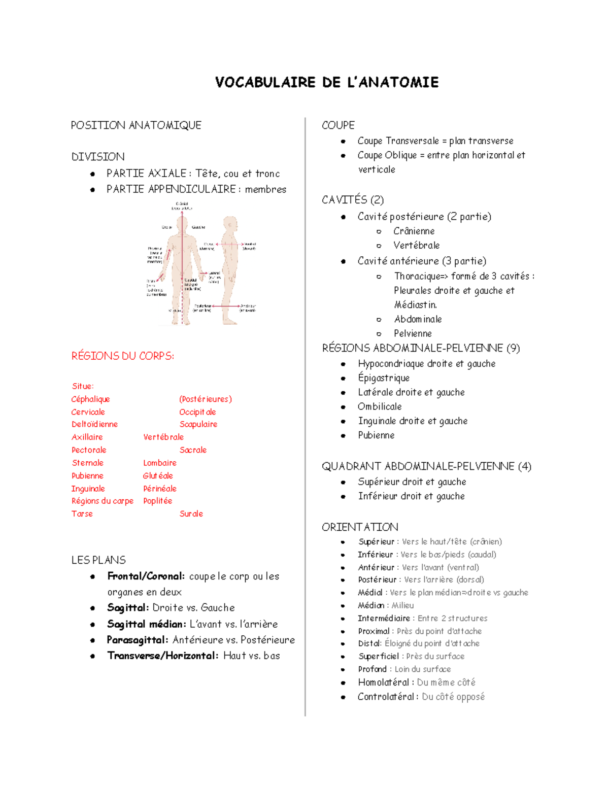 ANP 1506 lecture notes-midterm 1 - VOCABULAIRE DE L’ANATOMIE POSITION ...