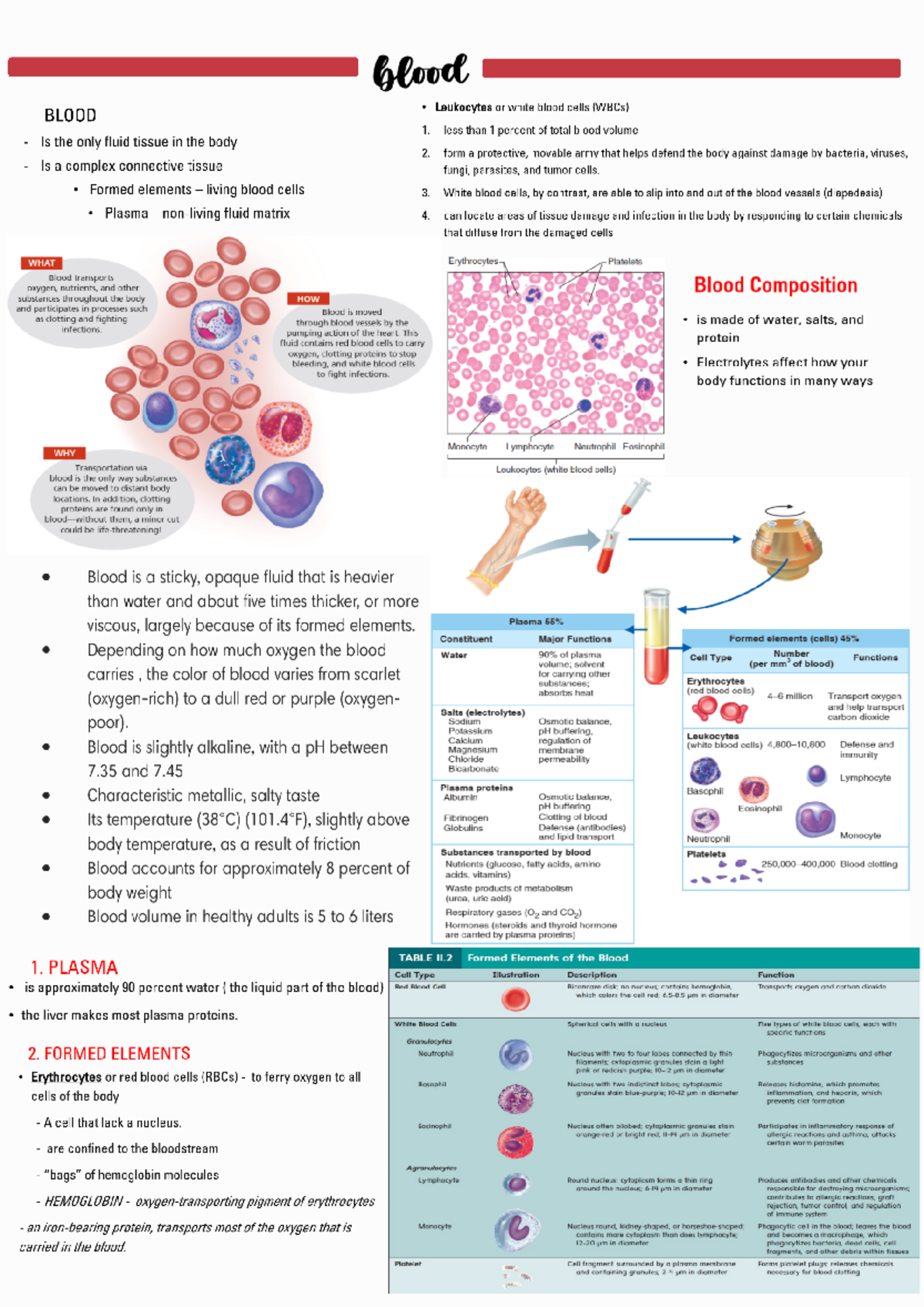 Blood Notes - Introduction - blood BLOOD Leukocytes or white blood ...