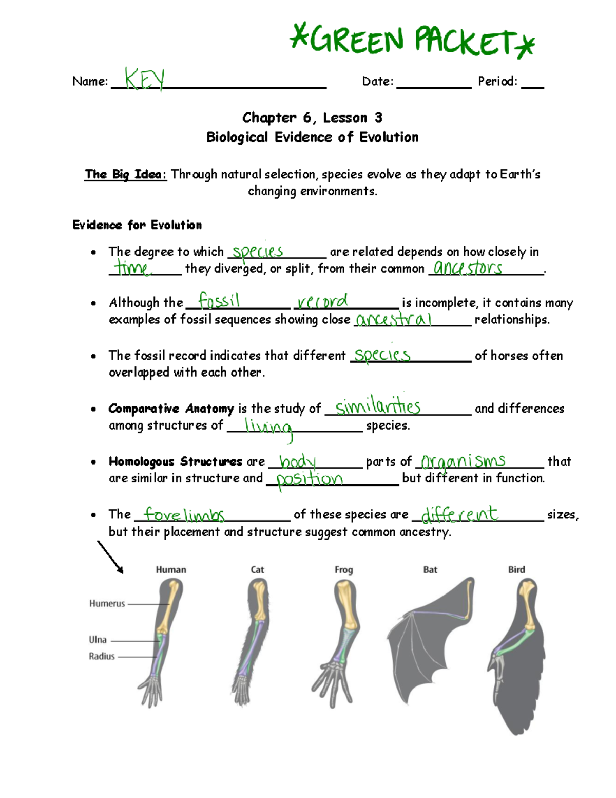 Biology 6.3 Lesson 3 Notes on Evidence of Evolution - Studocu
