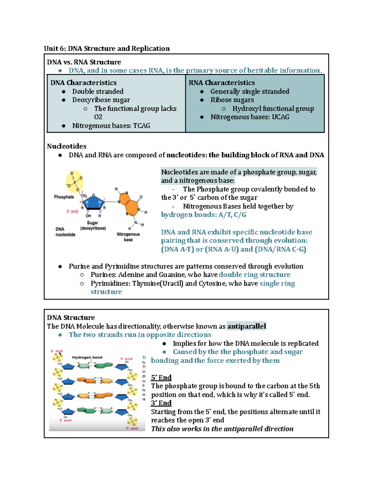 Unit 6: Key Concepts in DNA Structure, Replication & Gene Regulation ...