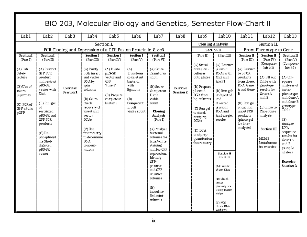 B- Semester Flow 2025 - notes - BIO 203, Molecular Biology and Genetics ...
