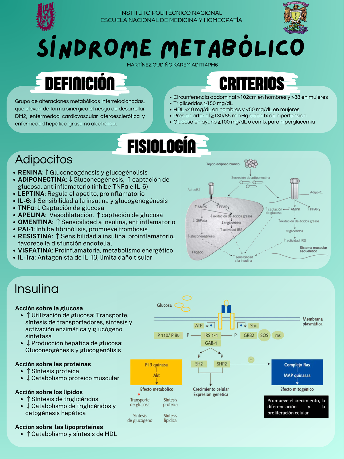Síndrome Metabólico - Infografía de Fisiopatología 4PM6 - Studocu
