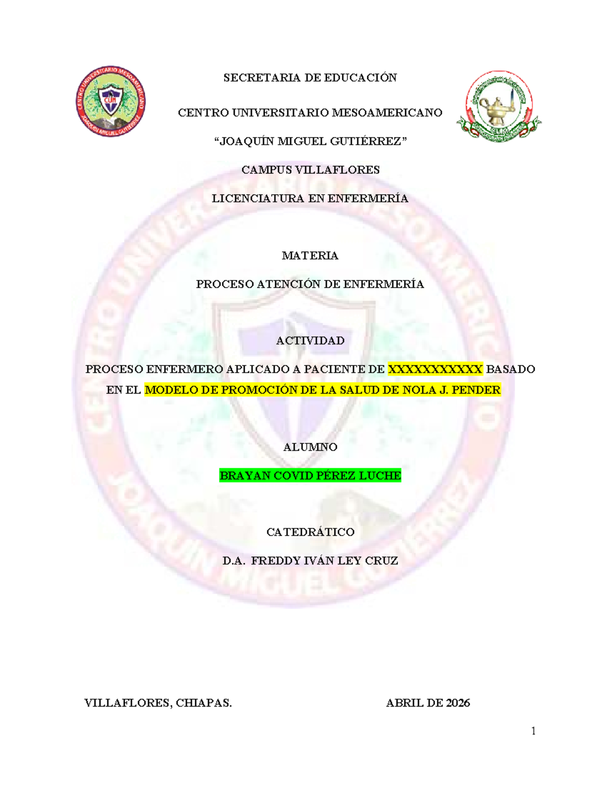 Estructura del Proceso de Atención de Enfermería (PAE) 2026 - Document Preview
