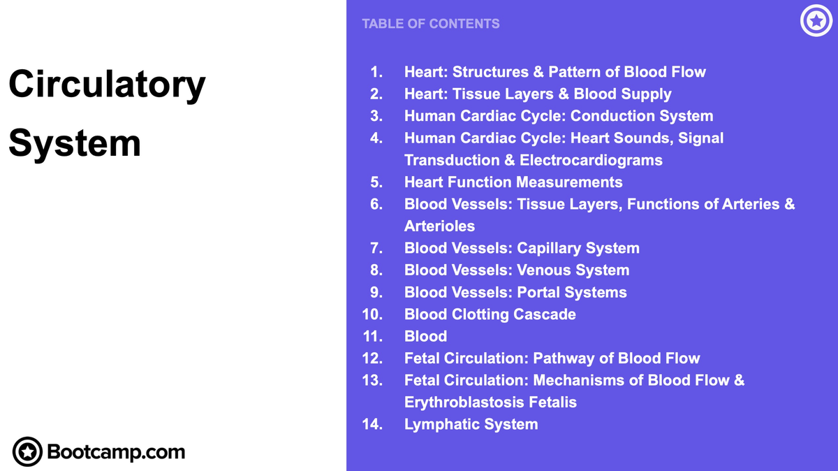 BIOL 2020: Heart and Circulatory System Overview Notes - Studocu