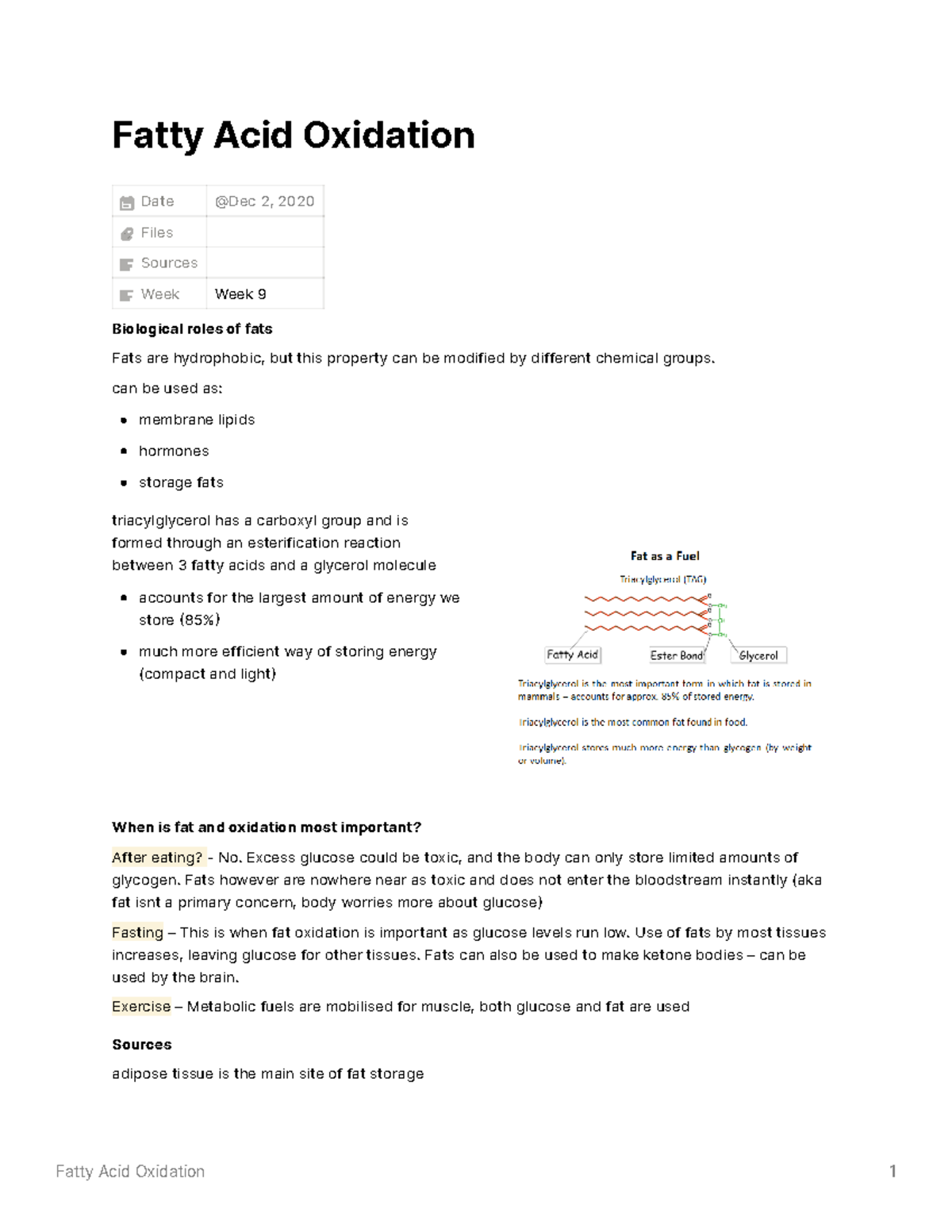 Fatty Acid Oxidation - Lecture Notes for Week 9 (Lecture 17) - Studocu
