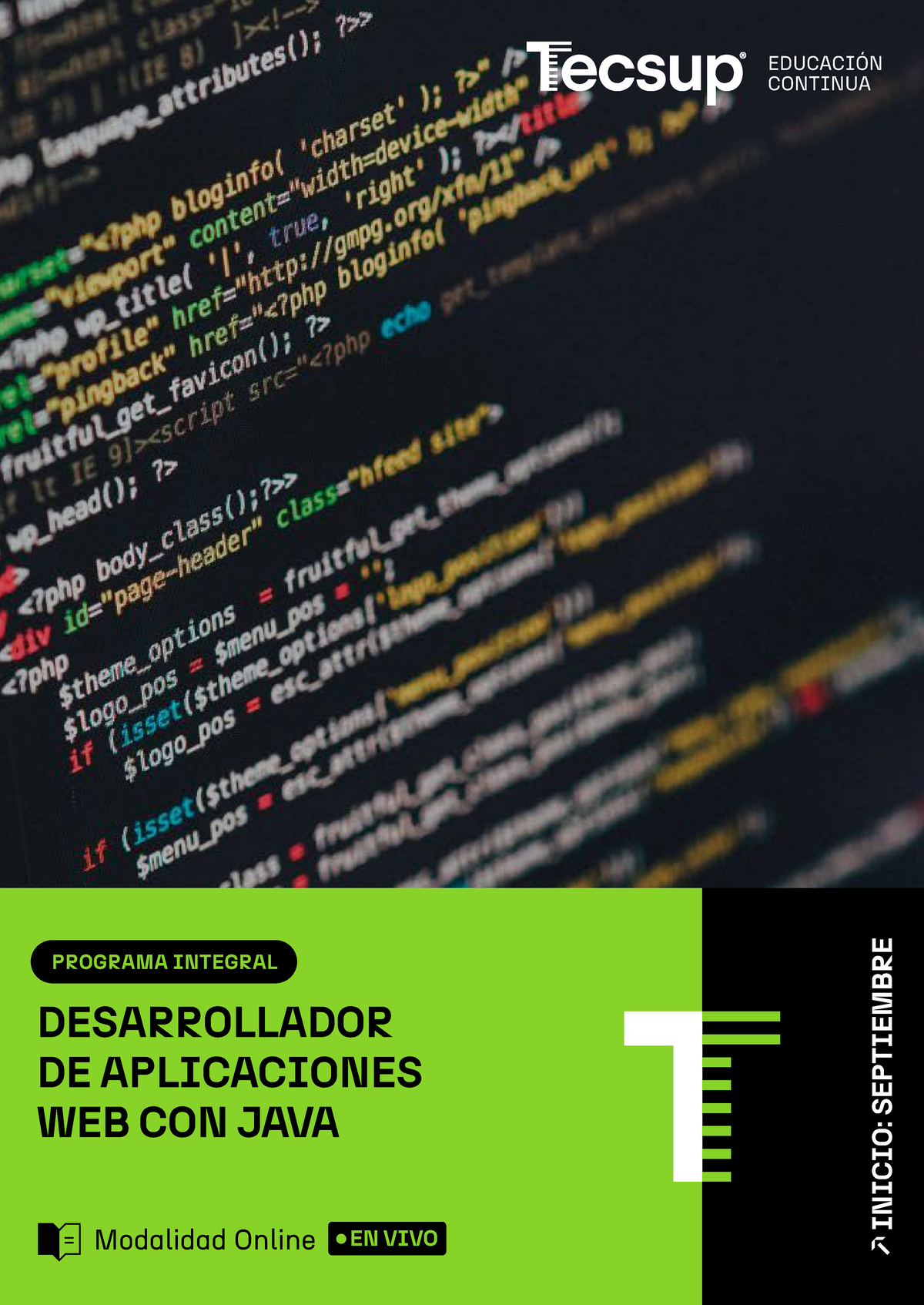 Brochure PUN PI Desarrollador DE Aplicaciones WEB CON JAVA - EDUCACIÓN ...