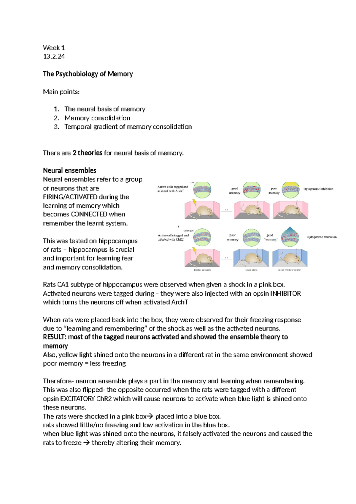 WEEK 1 - Lecture Notes - Week 1 13. The Psychobiology of Memory Main ...