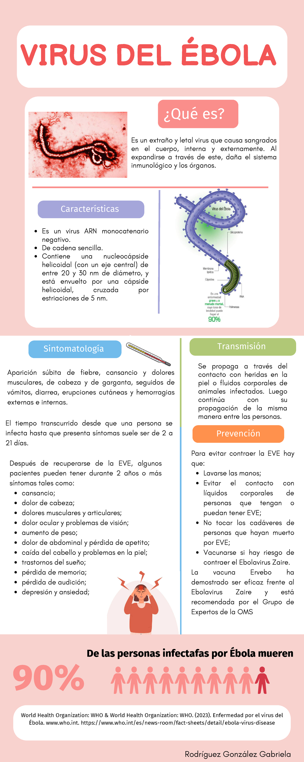 Ébola - Infografía con explicación breve del ébola, contiene vía de ...