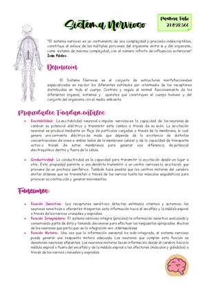 Solved Linfopoyesis Morfofisiologia Humana Ii Studocu