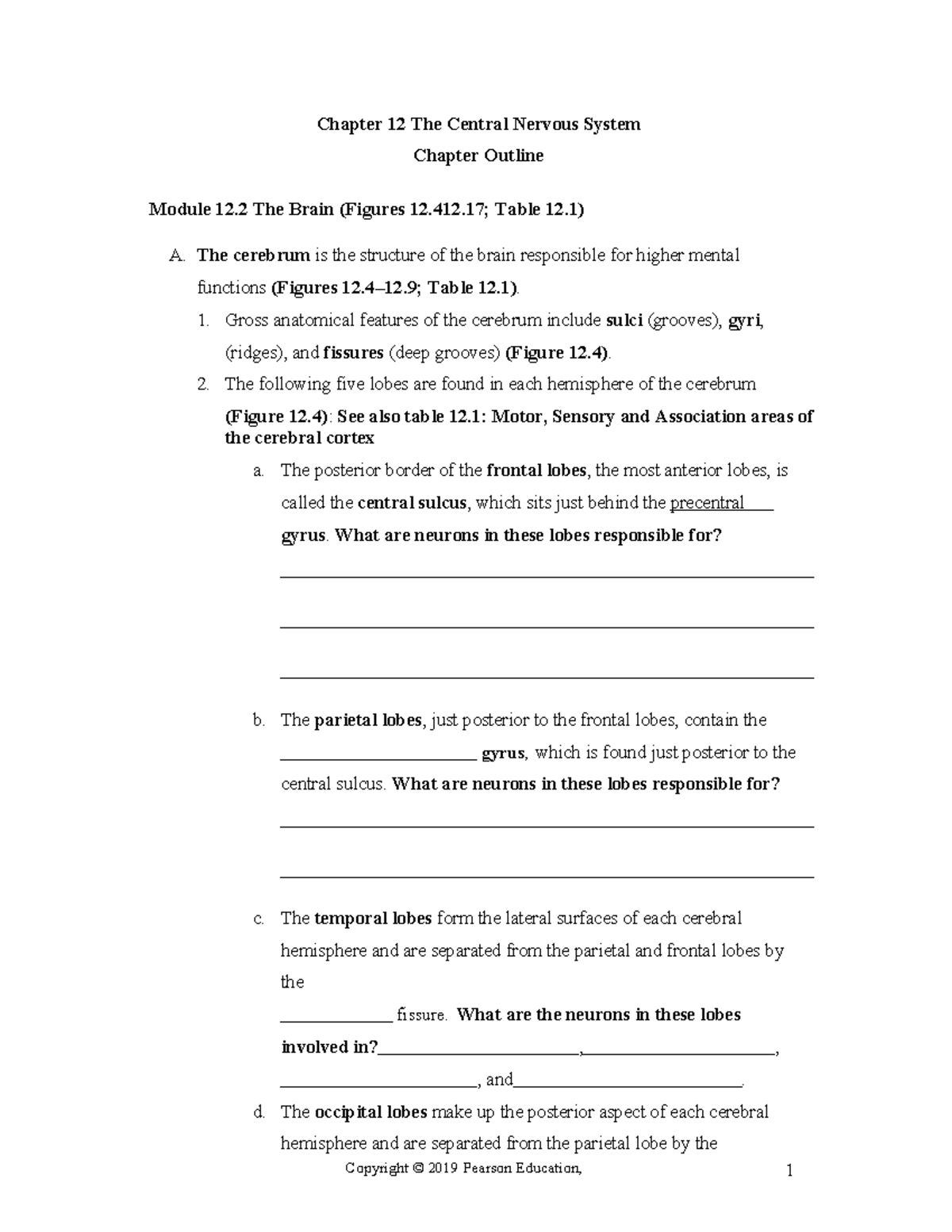 Chp 12 Central Nervous System Lecture Outline - Part 2 - Studocu