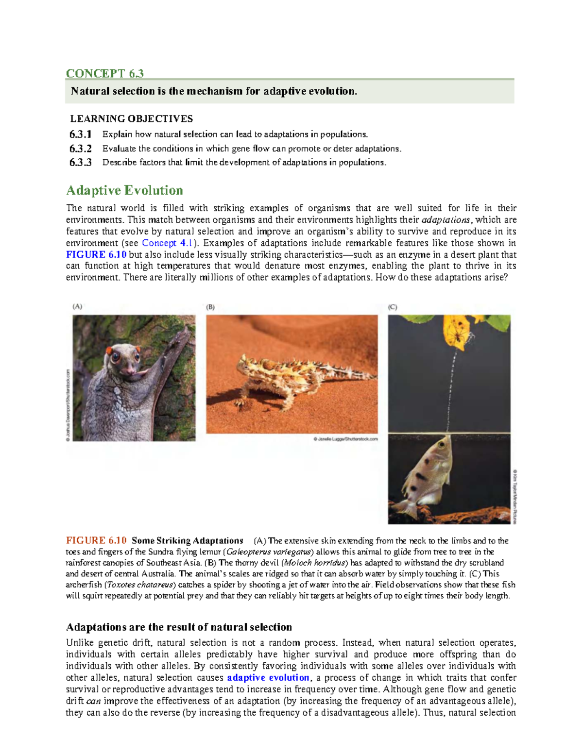 Week 2 Lecture 2 - 6: Natural Selection and Adaptive Evolution Concepts ...