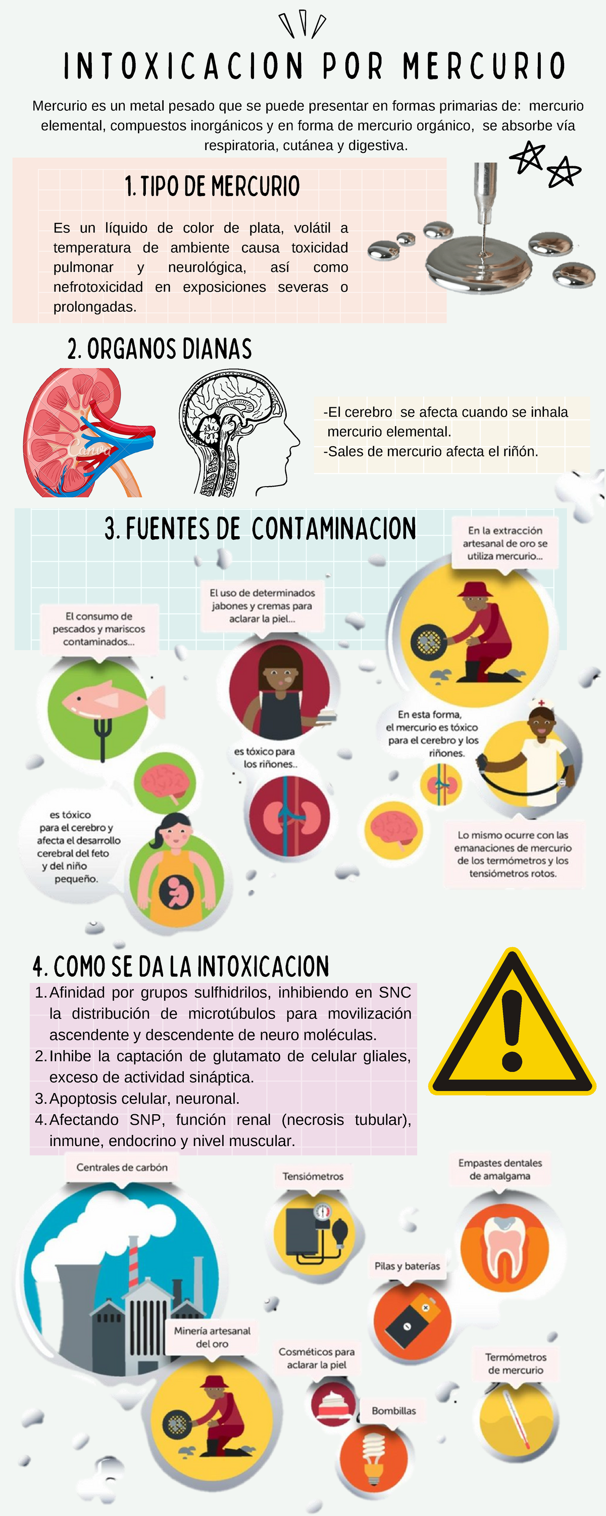 Intoxicación por Mercurio: Diagnóstico y Manejo Clínico - Studocu