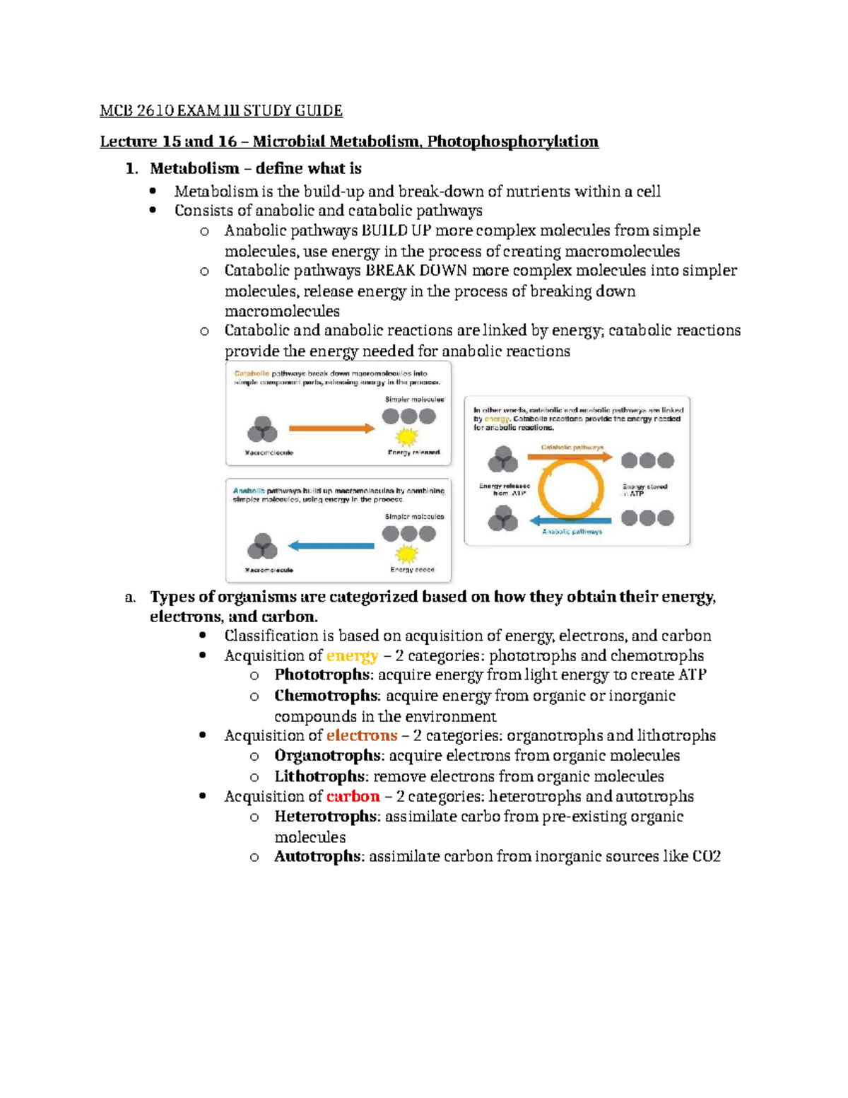 MCB 2610 Exam III Study Guide: Microbial Metabolism & Gene Expression ...