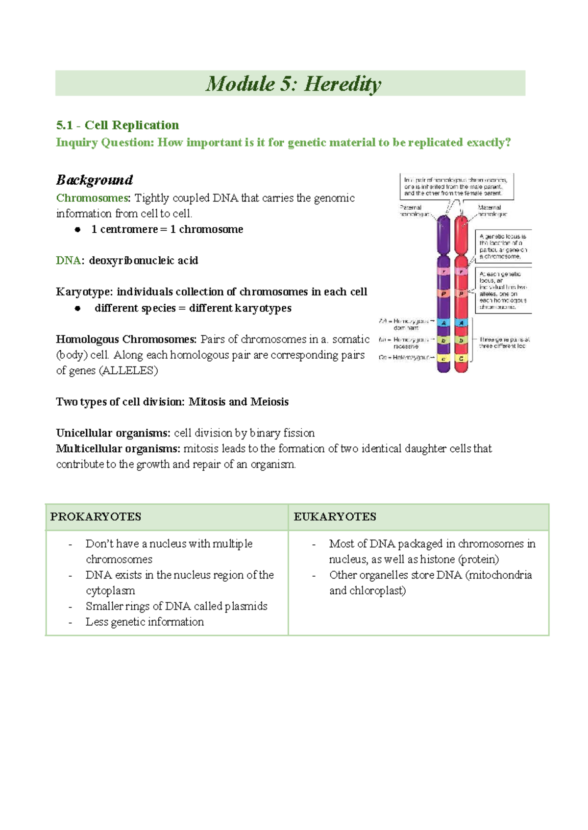 Year 12 Biology: Cell Replication & Genetic Variation Summary Notes ...