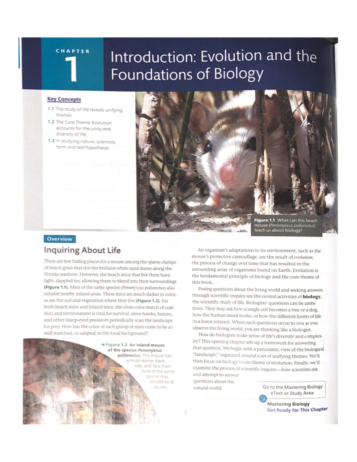 Ch+01-+Intro%2C+Evolution+and+the+Foundations+of+Biology - CHAPTER ...