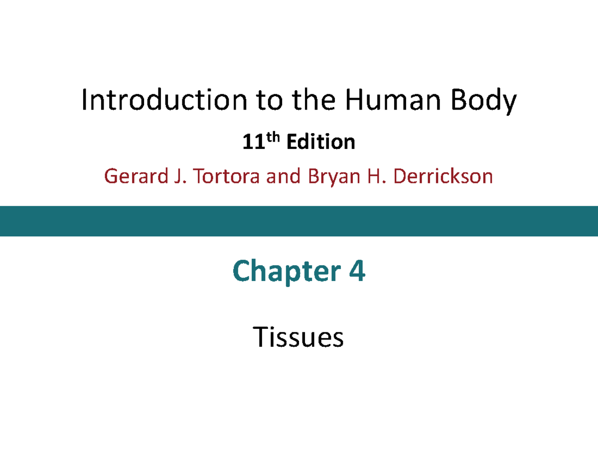 Introduction to the Human Body: Chapter 4 - Tissues - Studocu
