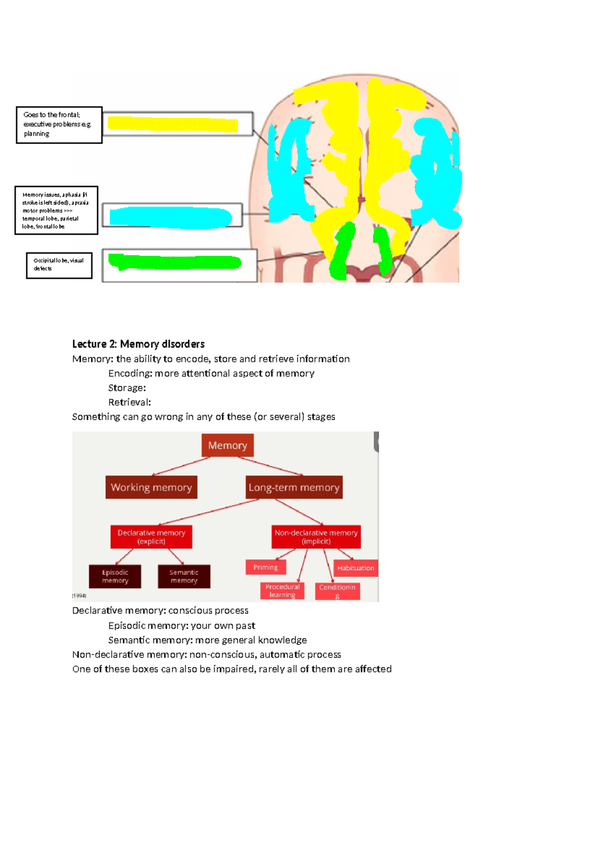 Lecture 2: Memory Disorders - Insights from Brain Lectures (PSY101 ...