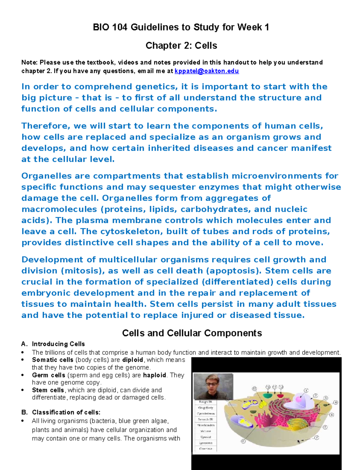 BIO 104 Study Guide: Cell Division, Apoptosis, and Development Concepts ...