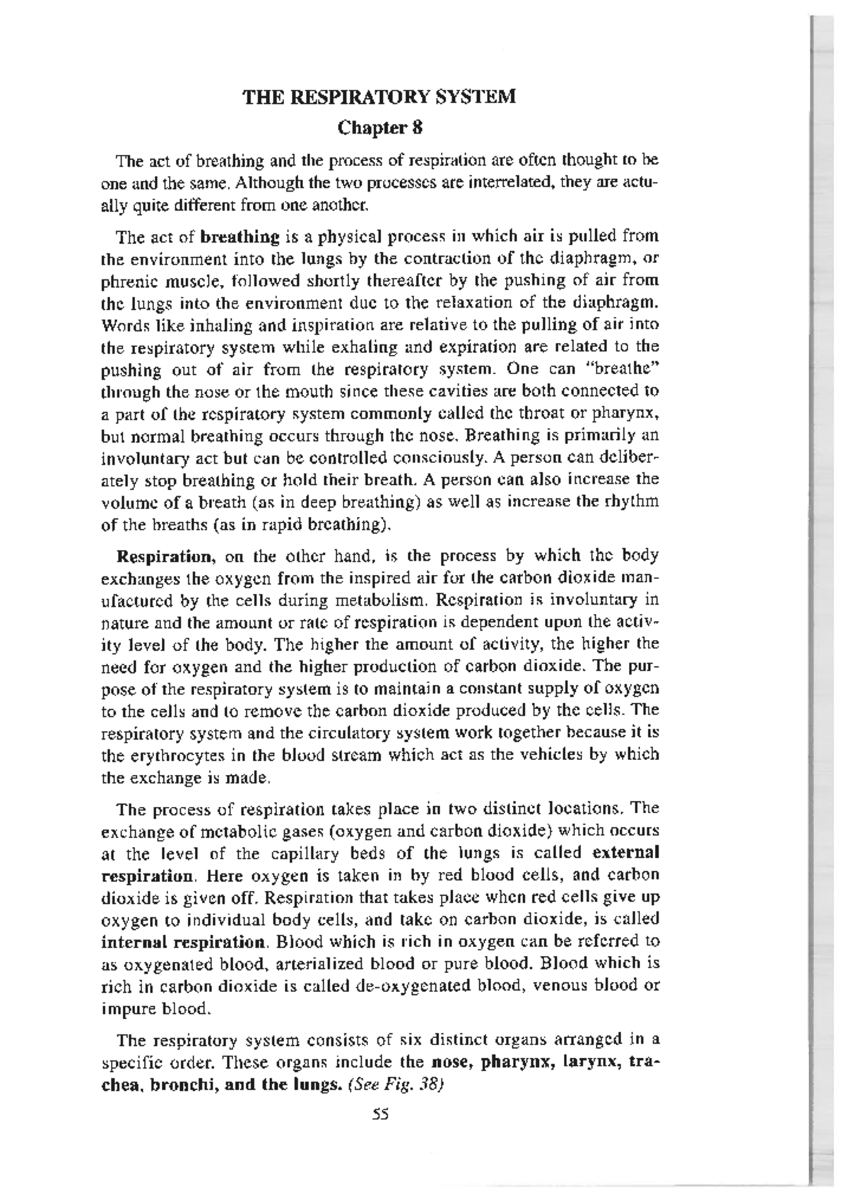 Anatomy Chapter 8 Study Notes - Overview and Key Concepts - Studocu