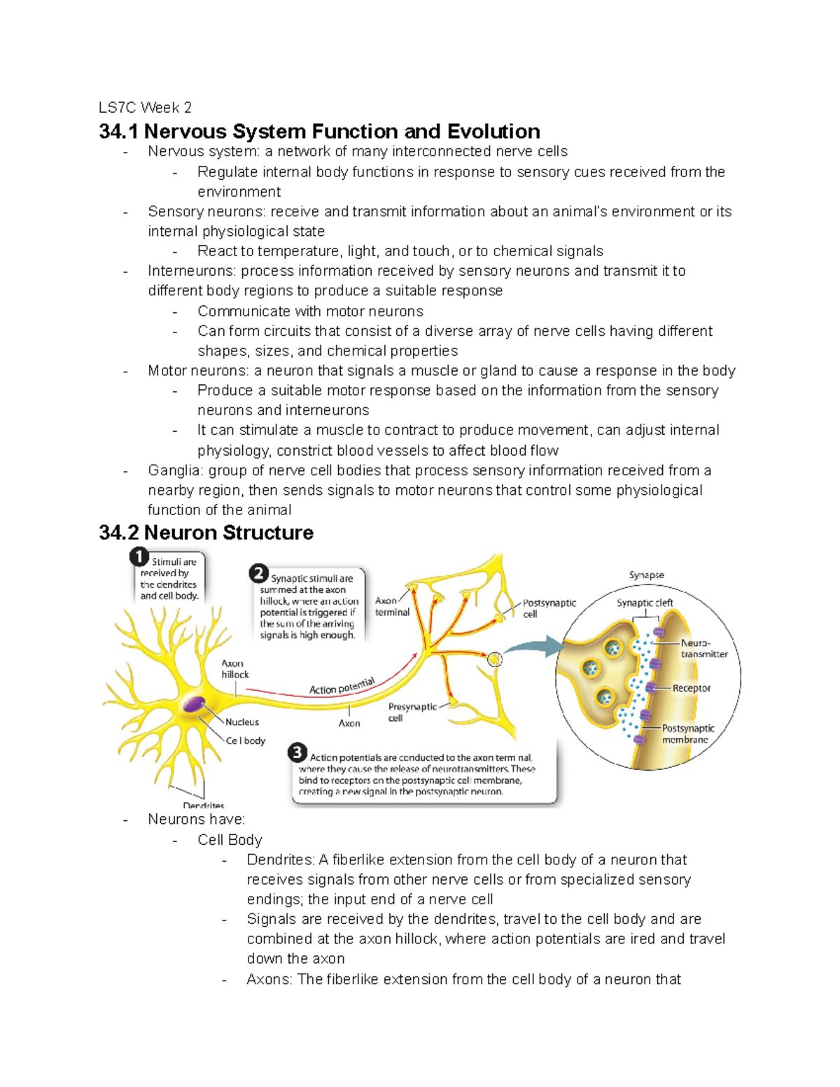 LS7C Week 2 Material Notes - LS7C Week 2 34 Nervous System Function and ...