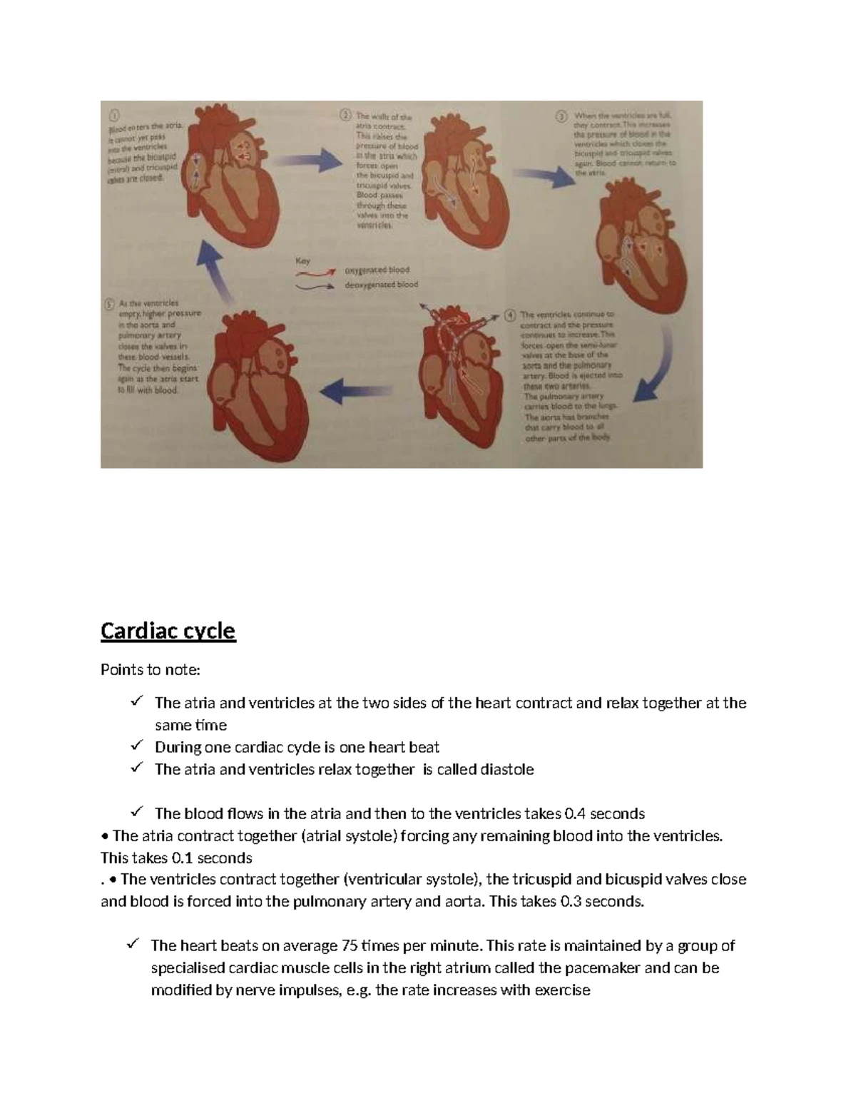 Biology 8: Respiration and Gaseous Exchange Overview - Studocu