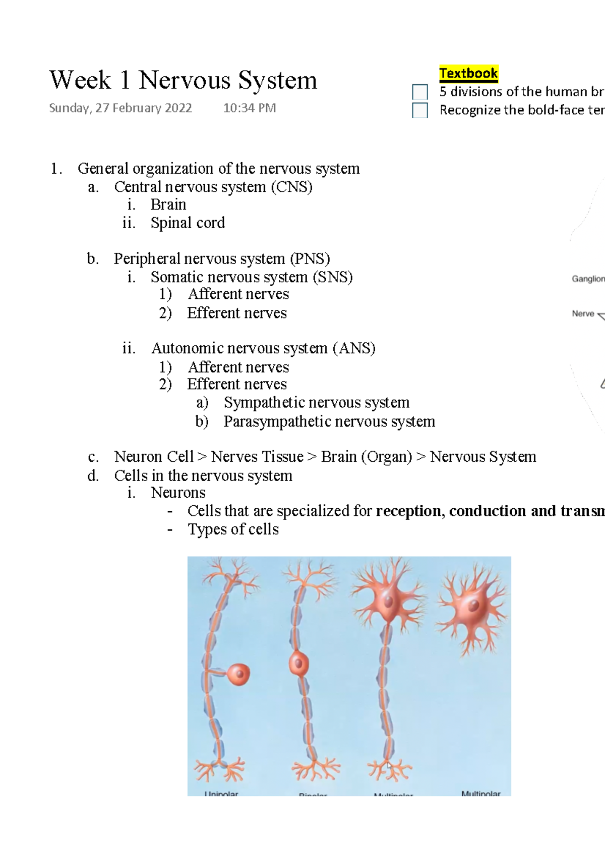 Week 1 Lecture Summary: Nervous System Overview and Textbook Insights ...